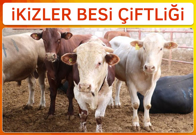 İkizler Besi Çiftliği