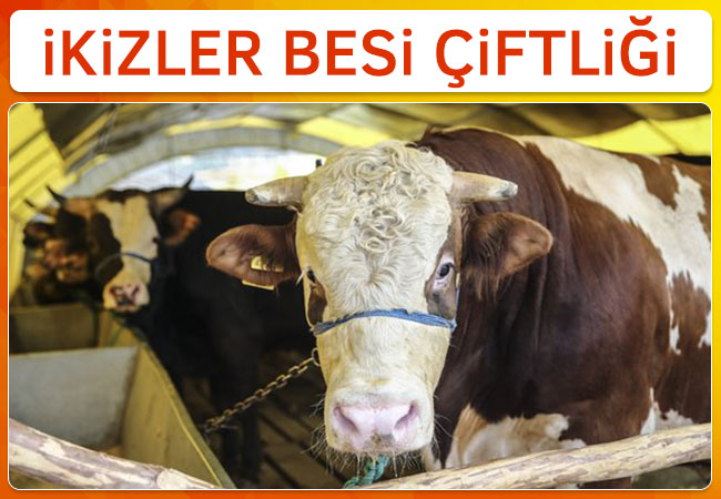 İkizler Besi Çiftliği