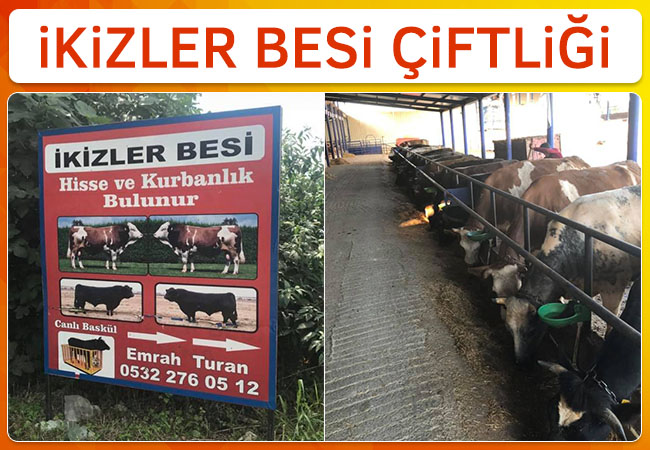 İkizler Besi Çiftliği