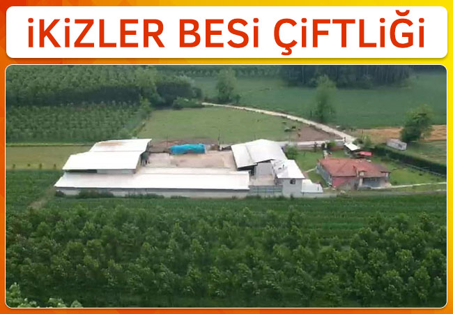 İkizler Besi Çiftliği