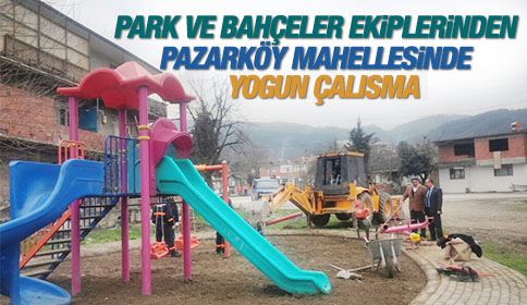 Akyazı Belediyesi Park Ve Bahçeler Ekiplerinden Pazarköy Mahalesinde Yoğun Çalışma