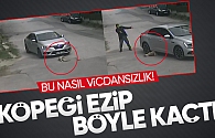 Dehşet anları Köpeği ezip böyle kaçtı!