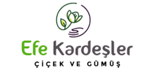 Efe Kardeşler Gümüş Çicek Evi