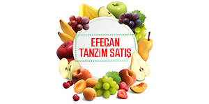 Efecan Tanzim Satış