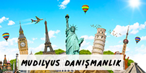 Mudilyus Danışmanlık Dilber Sarı