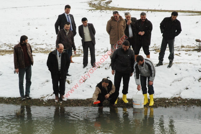 Acelle Yaylası Baraj ve Balık bırakma