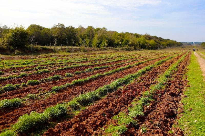 Sakarya'da memlekete hizmetle geçen 4 buçuk yıl: Tarihi rekorlar kırdık