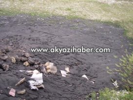 ZEHİRLEMEYE DEVAM EDİYORUZ