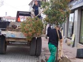 YAHYALI CADDESİ AĞAÇLANDIRILIYOR