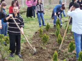 A.M.Y.O PEYZAJ PROGRAMI