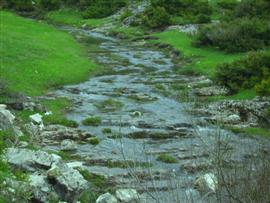 YAYLALARDAN GÖRÜNTÜLER 2008