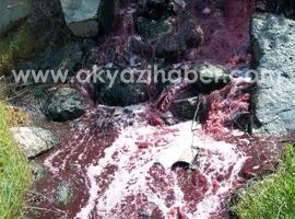 MUDURNU DERESİ RENK DEĞİŞTİRDİ 