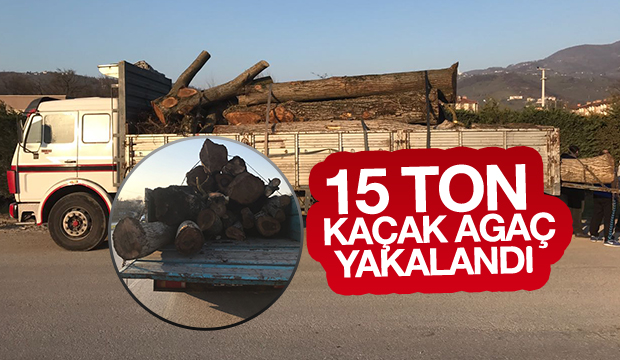 15 Ton Kaçak Ağaç Yakalandı