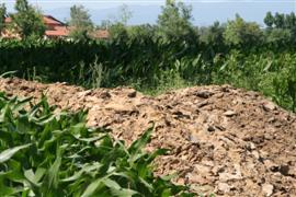 ORTALIĞI GÜBRE KOKUSU SARDI