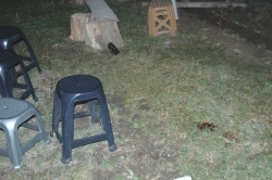 MAGANDA KURŞUNU CAN ALDI