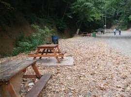 Altındere Mesire Alanına Büyük İlgi