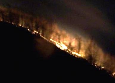 ŞEREFİYE ORMANINDA YANGIN (VİDEO)