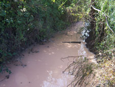 Bir Çevre Kirliliğide Kuzuluk'ta
