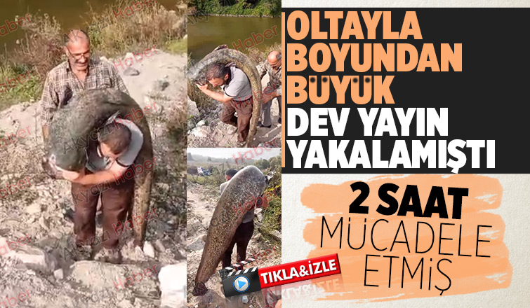 2 metreden büyük dev yayını böyle yakalamış