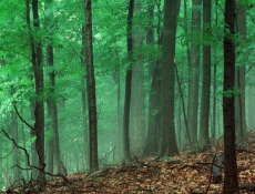 Yandı Bitti, Peki Ya Sonrası !