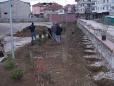 Hükümet Konağı Çiçek Açıyor