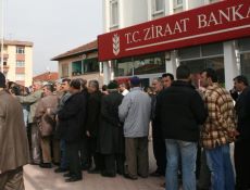 Fındık Üreticisine Ödeme Başladı