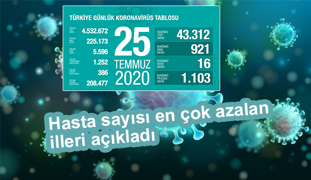 25 Temmuz korona verileri