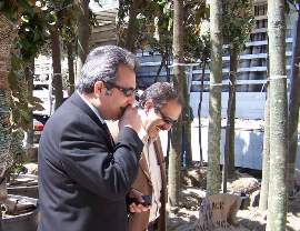 AĞAÇLANDIRMA ÇALIŞMALARI