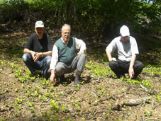 Orman Müdüründen İnceleme