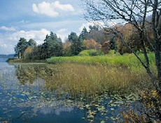 Sapanca Gölüne Lağım Akıyor İddiası