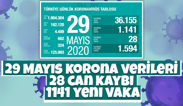29 Mayıs korona verileri açıklandı