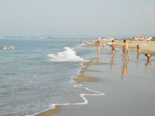 Karasu Bir Can Daha Aldı