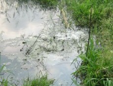 Kanalizasyon Sorunu Bitmek Bilmiyor