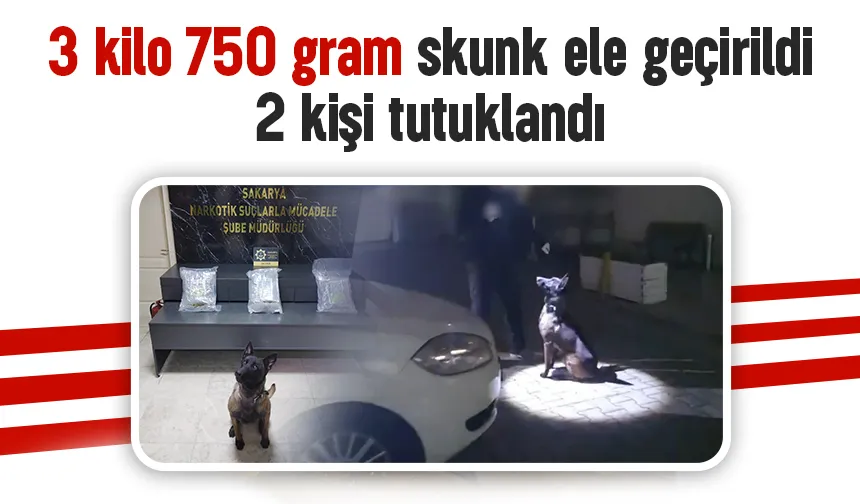 3 kilo 750 gram skunk ele geçirildi