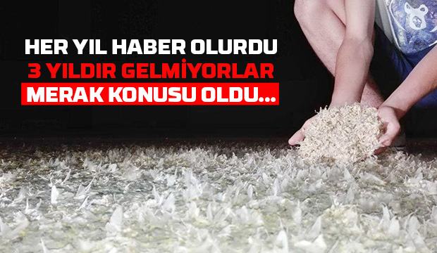 3 yıldır ortada yoklar, merak konusu oldu