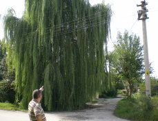 Canımız Yanmadan Önlem Alın