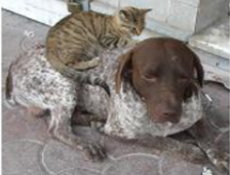 Bizim Unuttuğumuzu Hatırlatıyorlar