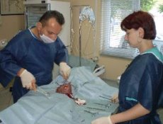 Ameliyatla Sağlığına Kavuştu