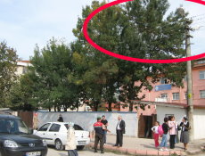 Önlem Alınmazsa Vebal'i Ağır Olur