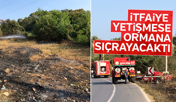 İtfaiye yetişmese ormana sıçrayacaktı