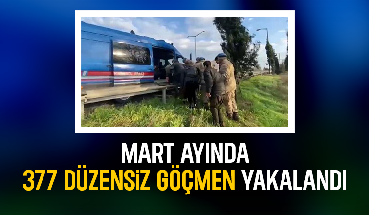 377 düzensiz göçmen ve 14 organizatör yakalandı