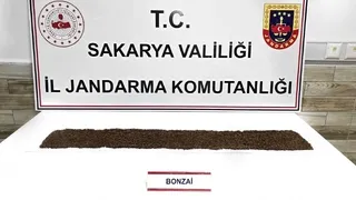 398 gram bonzai ele geçirildi