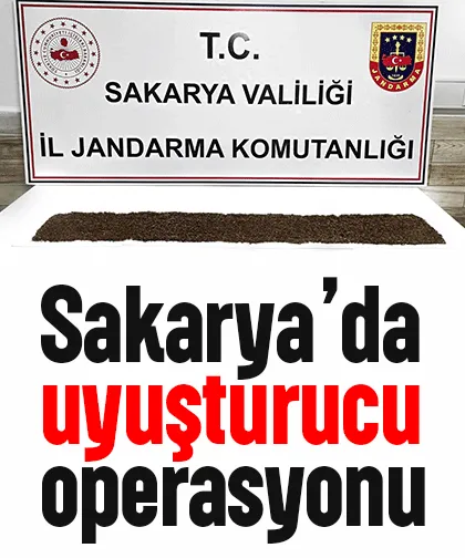 398 gram bonzai ele geçirildi