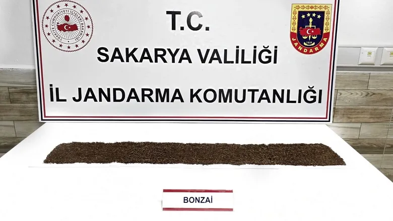398 gram bonzai ele geçirildi