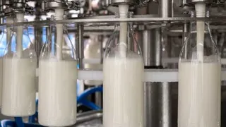 4 süt şirketine haksız fiyatlandırma cezası