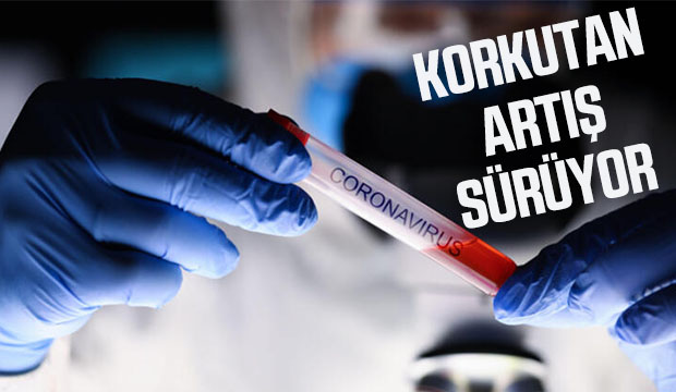 5 Ağustos korona verileri