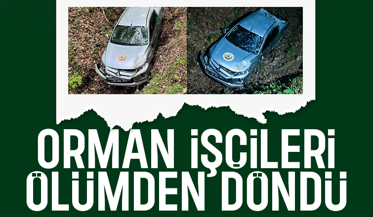 5 orman işçisi vardı, Şarampole uçtu