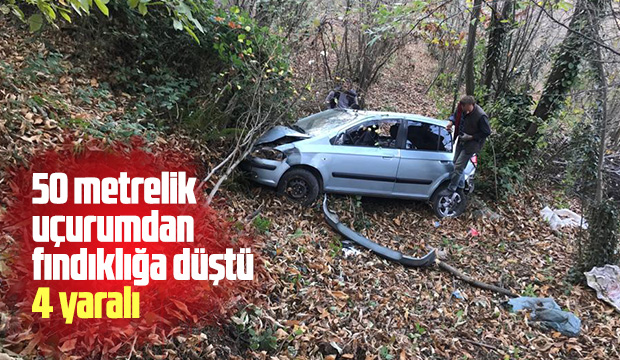 50 metrelik uçurumdan fındıklığa düştü