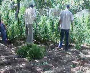 ZEHİR TACİRLERİNE DARBE ÜSTÜNE DARBE