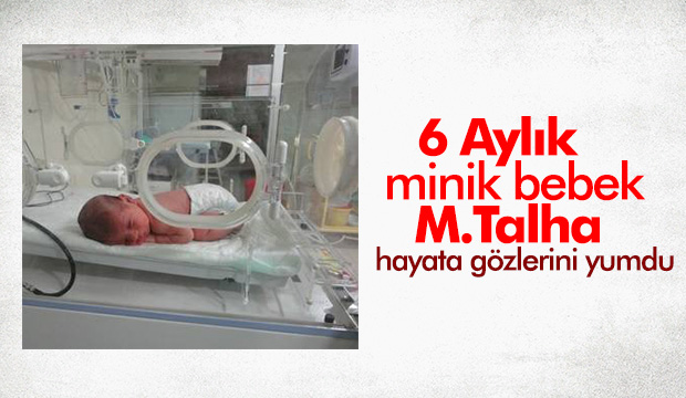 6 Aylık Bebek Hayata Tutunamadı